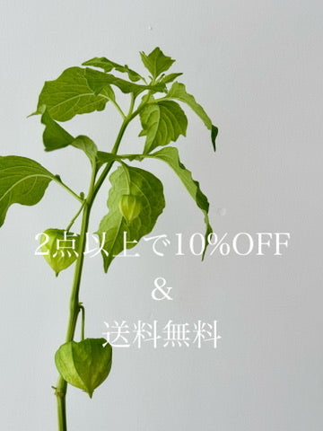 【8/23〜8/31】まとめ買い10%OFF ＋ 全商品送料無料