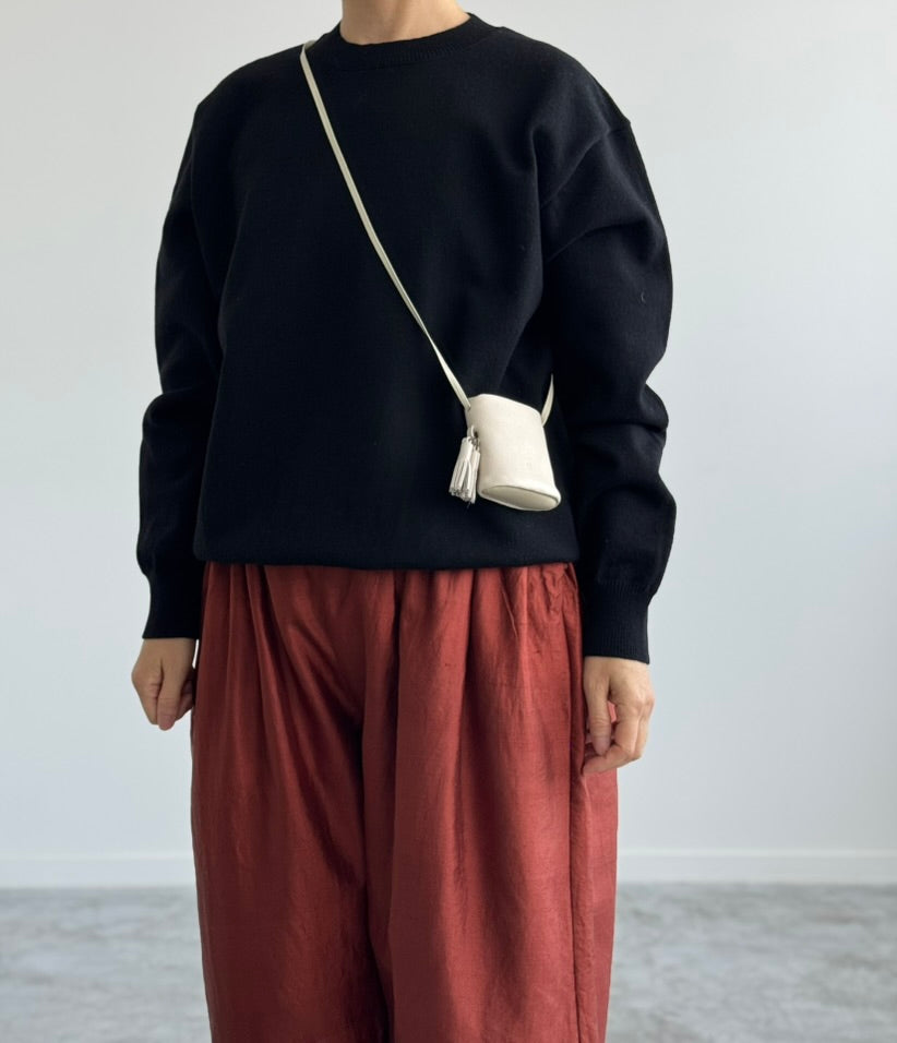 TASSEL MINI a (アー）タッセル ミニ　通販　広島 ポシェット　soy 着画